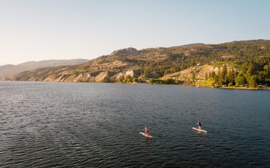 5 EXCELLENT REASONS TO VISIT NARAMATA THIS SUMMER
